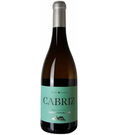 VINHO QUINTA CABRIZ SAUVIGNON BLANC
