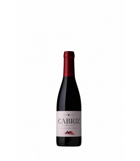 VINHO QUINTA CABRIZ TINTO 37,5CL