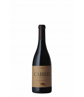 VINHO QUINTA CABRIZ TOURIGA NACIONAL TINTO