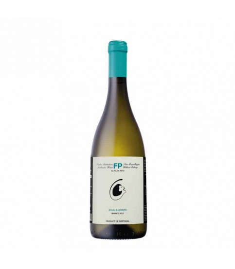 VINHO FILIPA PATO DINAMICA BRANCO