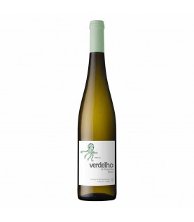 VINHO MONTE PECEGUINA VERDELHO