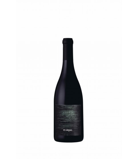 VINHO QUINTA MONTE D OIRO EX-AEQUO TINTO