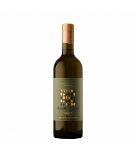 VINHO MESTRE DANIEL TALHA X